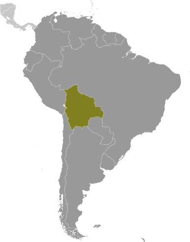 Map of Bolivia (Plurinational State of)